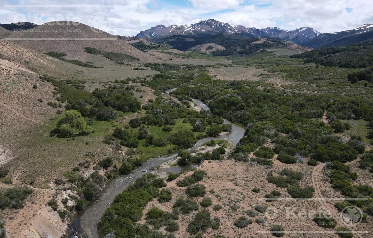 Campo de 2400 Has en venta en Rio Negro - Patagonia Argentina - Fly Fishing 8