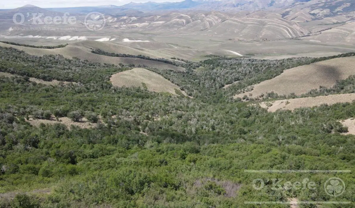 Campo de 2400 Has en venta en Rio Negro - Patagonia Argentina - Fly Fishing 2