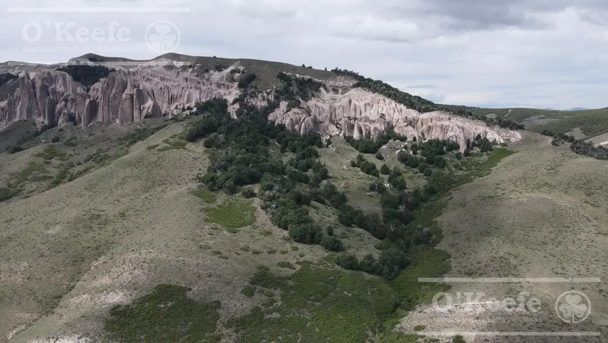 Campo de 2400 Has en venta en Rio Negro - Patagonia Argentina - Fly Fishing 3