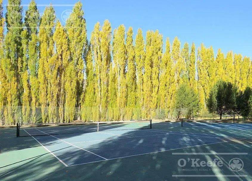 Terreno en San Carlos De Bariloche 5