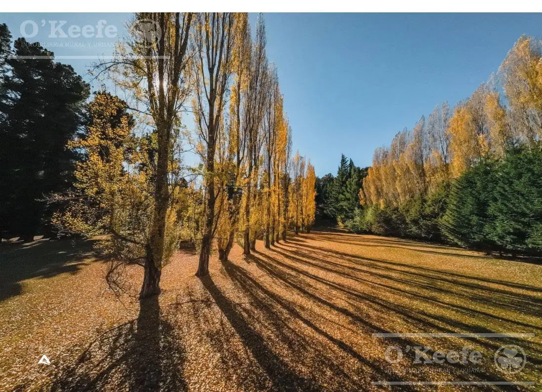 Departamento en venta de 2 ambientes en Amarras del Maitén Av. Bustillo km 14 - Bariloche 3
