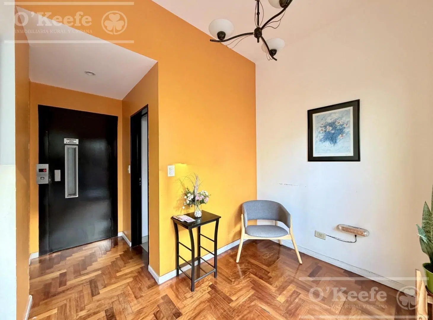 Departamento 3 ambientes- piso completo- Alquilado 1