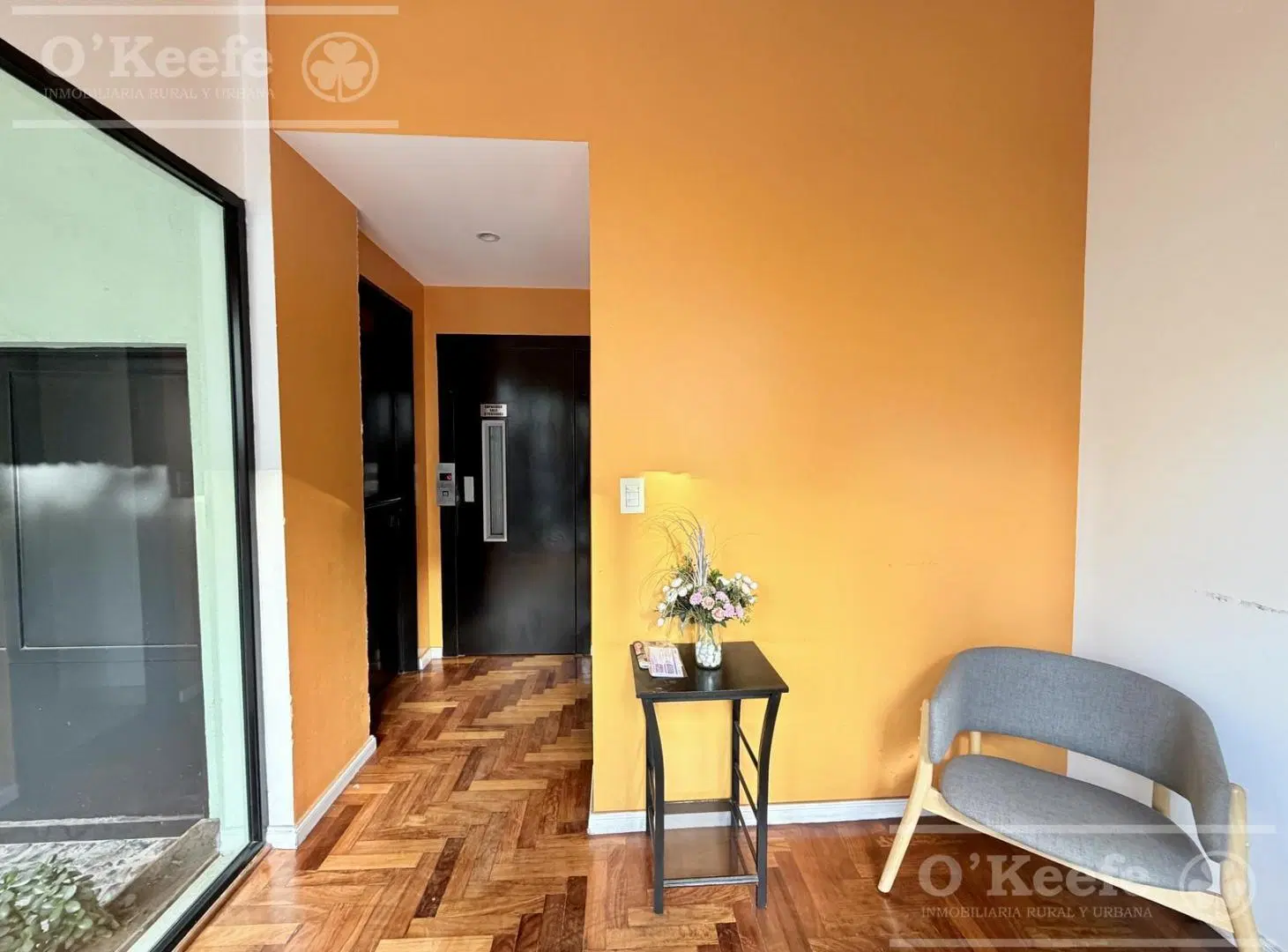 Departamento 3 ambientes- piso completo- Alquilado 4