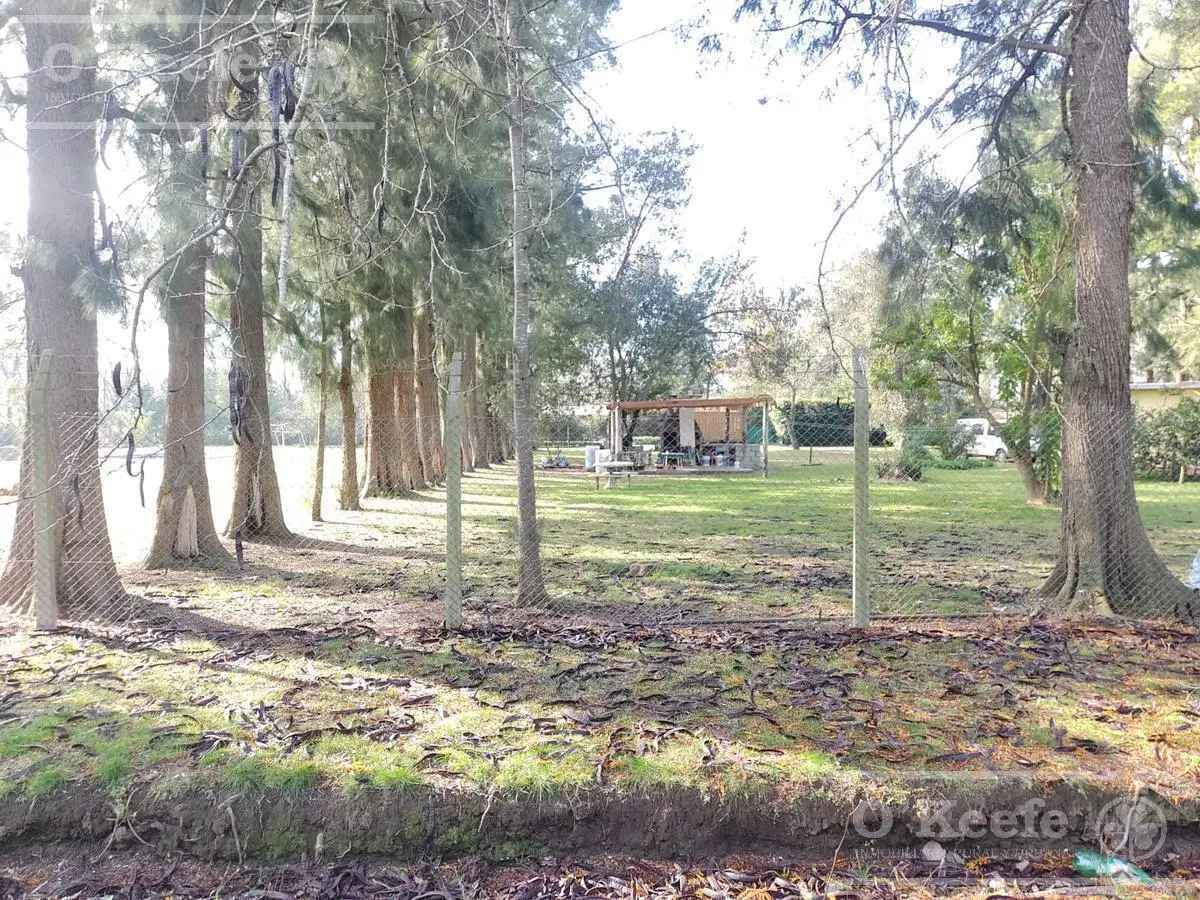 Terrenos en venta con escritura - El Pato Berazategui 1