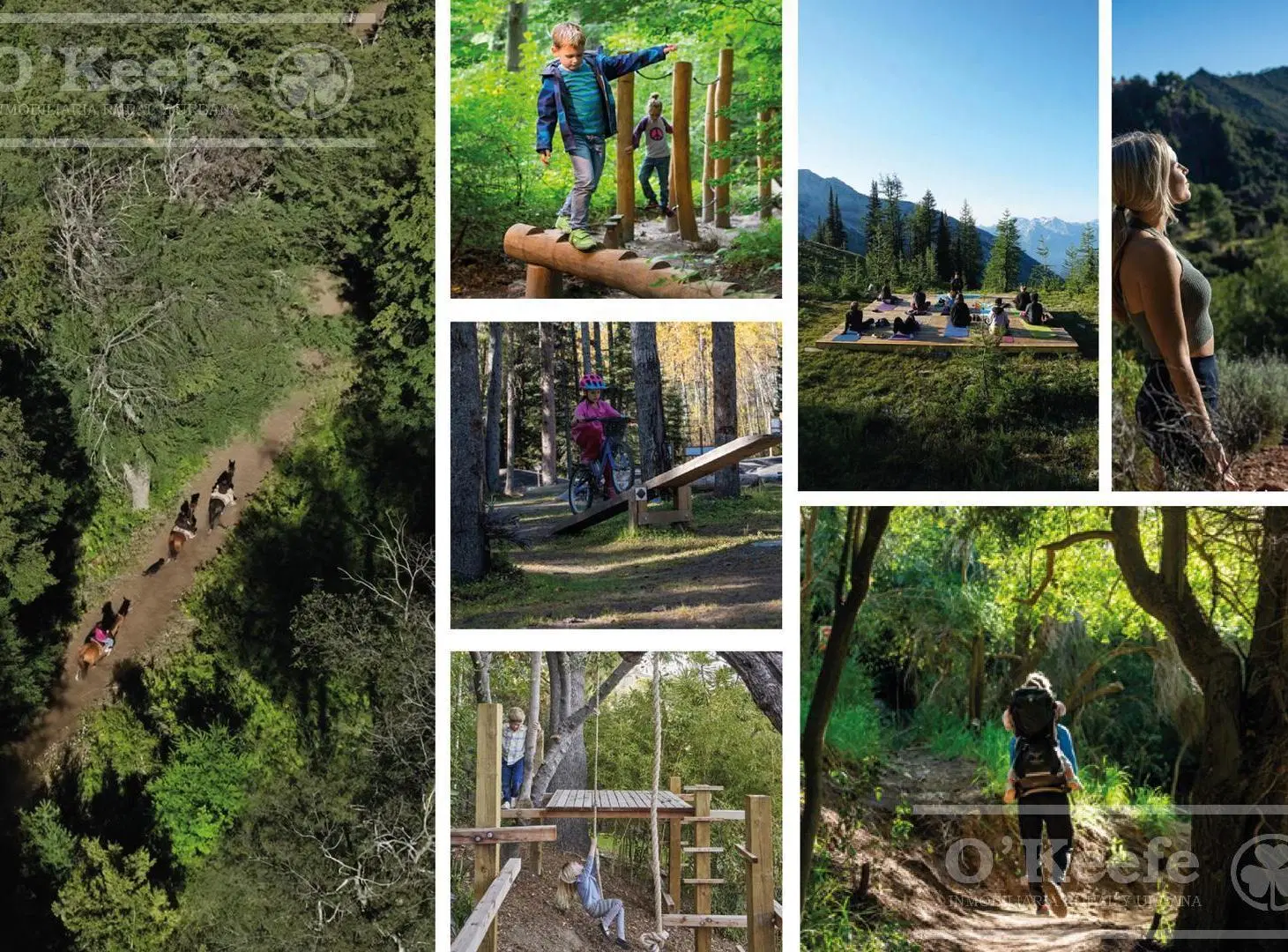 Terreno en venta - Cerro Lindo, en el centro de Bariloche. 4