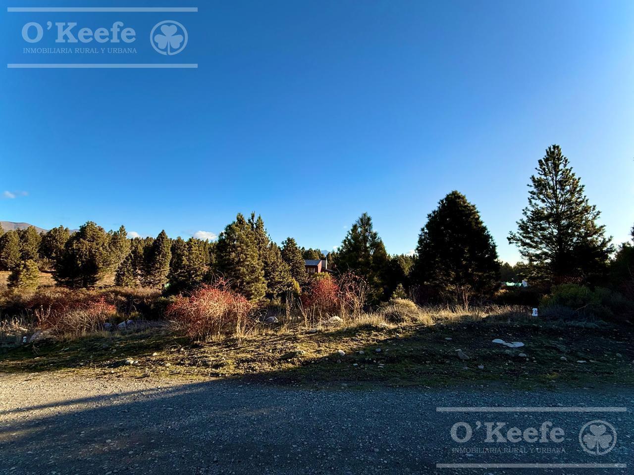 Foto de Terreno en venta con vista a los cerros en Solares del Este, imagen 5