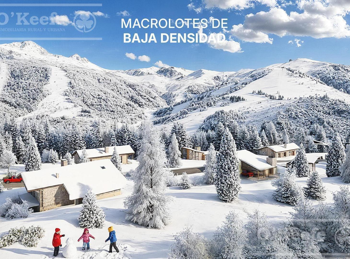 Foto de Terreno en emprendimiento Cerro Chico , Villa Catedral en venta, imagen 2