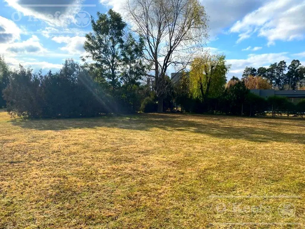 La Candida lote en venta de 982 M2- Ultimas unidades 4