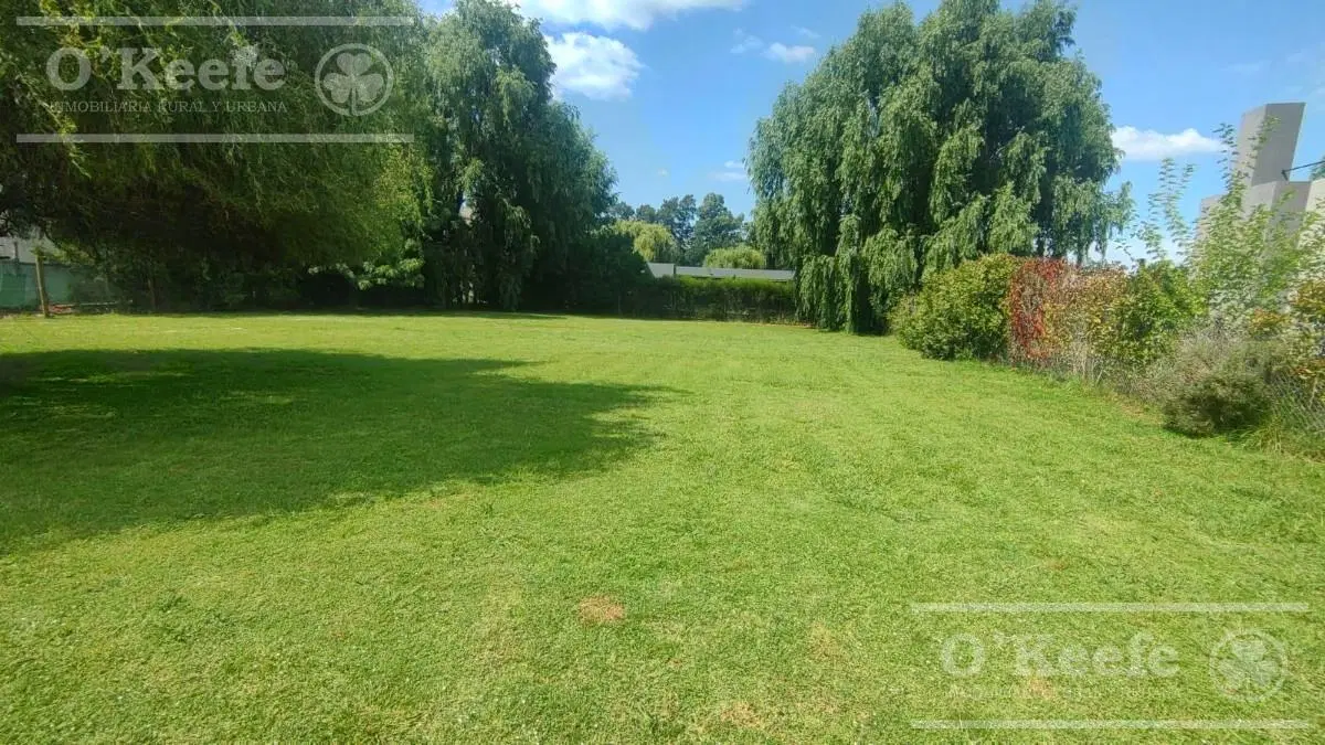 La Candida lote en venta de 982 M2- Ultimas unidades 3
