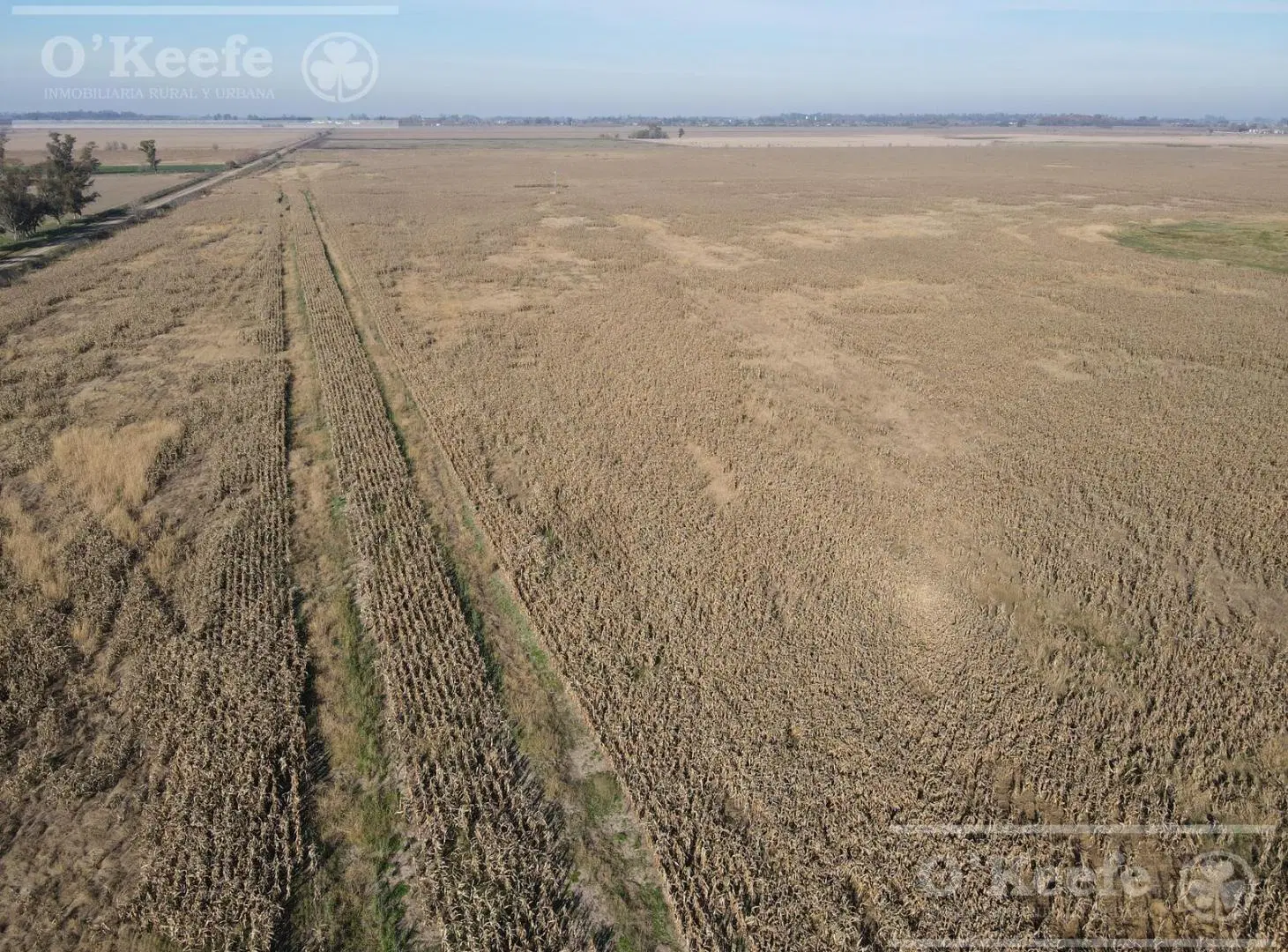Campo en venta de 217 has en Rosario 8