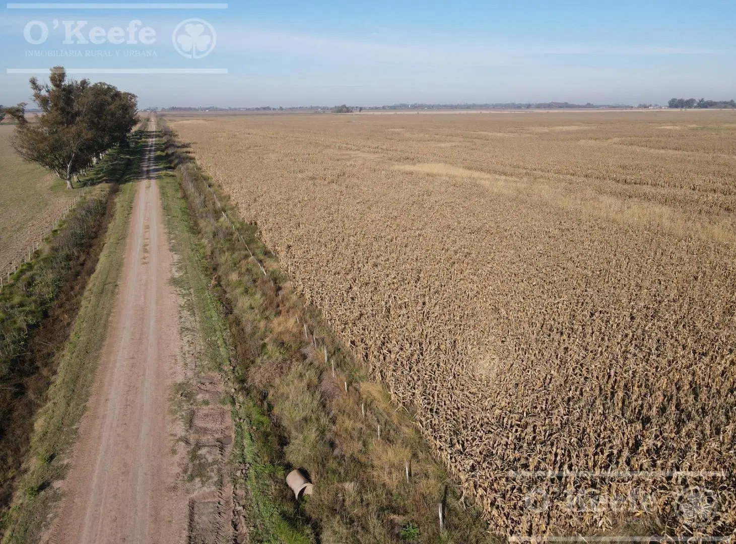 Campo en venta de 217 has en Rosario 2