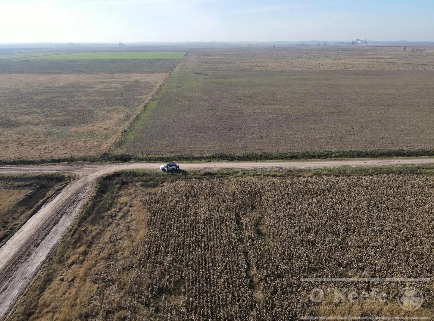 Campo en venta de 217 has en Rosario 4