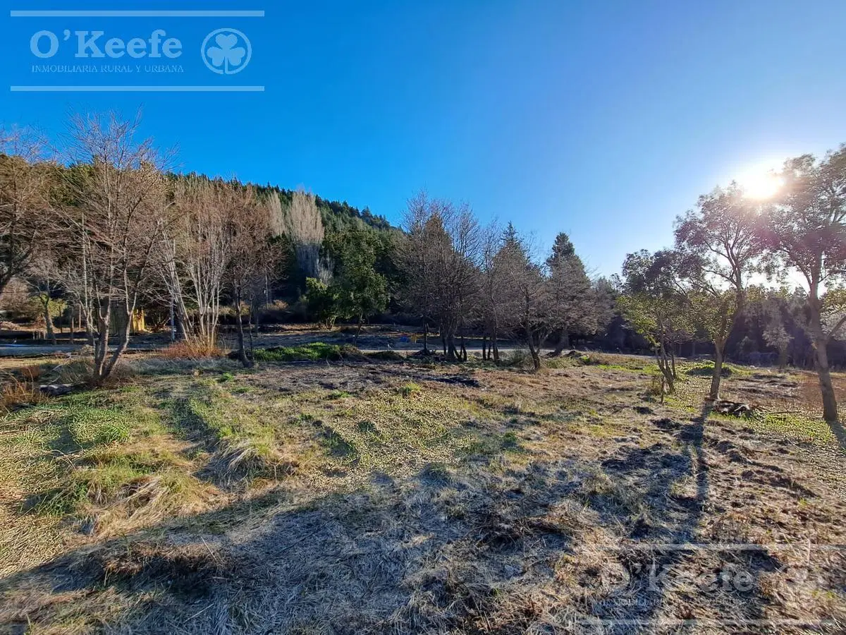 Lote en venta en El Estribo km 1 Av. Pioneros 3