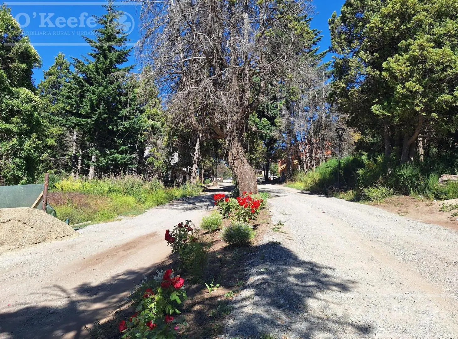 Lote en venta en El Estribo km 1 Av. Pioneros 4