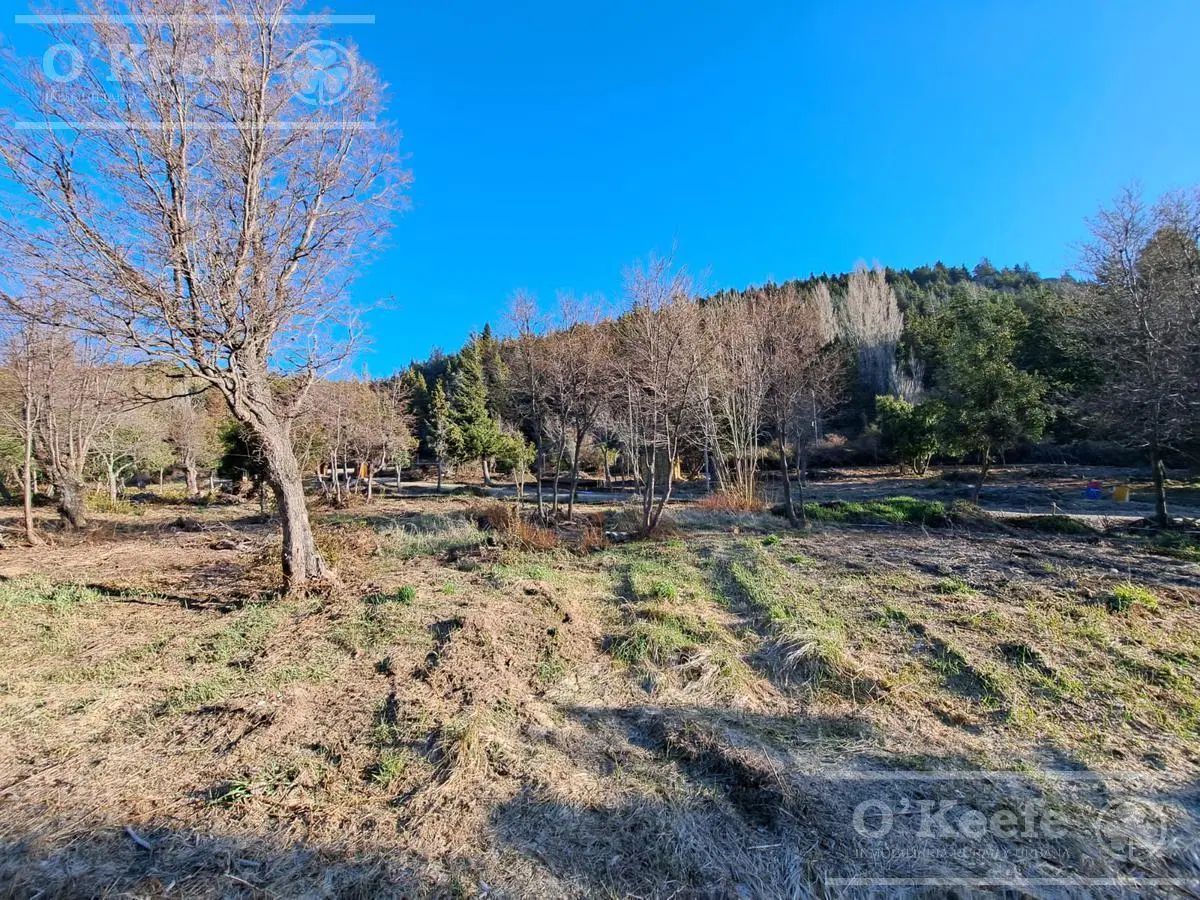 Lote en venta en El Estribo km 1 Av. Pioneros 5