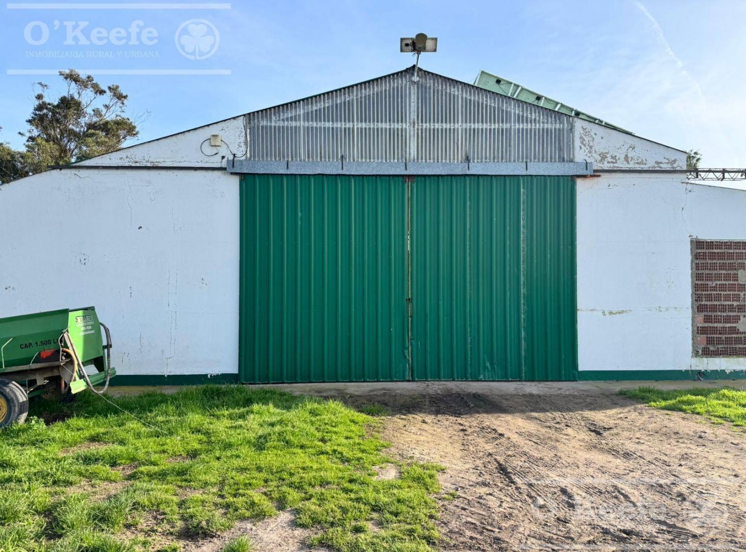 Foto de CAMPO MIXTO EN VENTA DE 830 HAS - CORONEL DORREGO, imagen 3