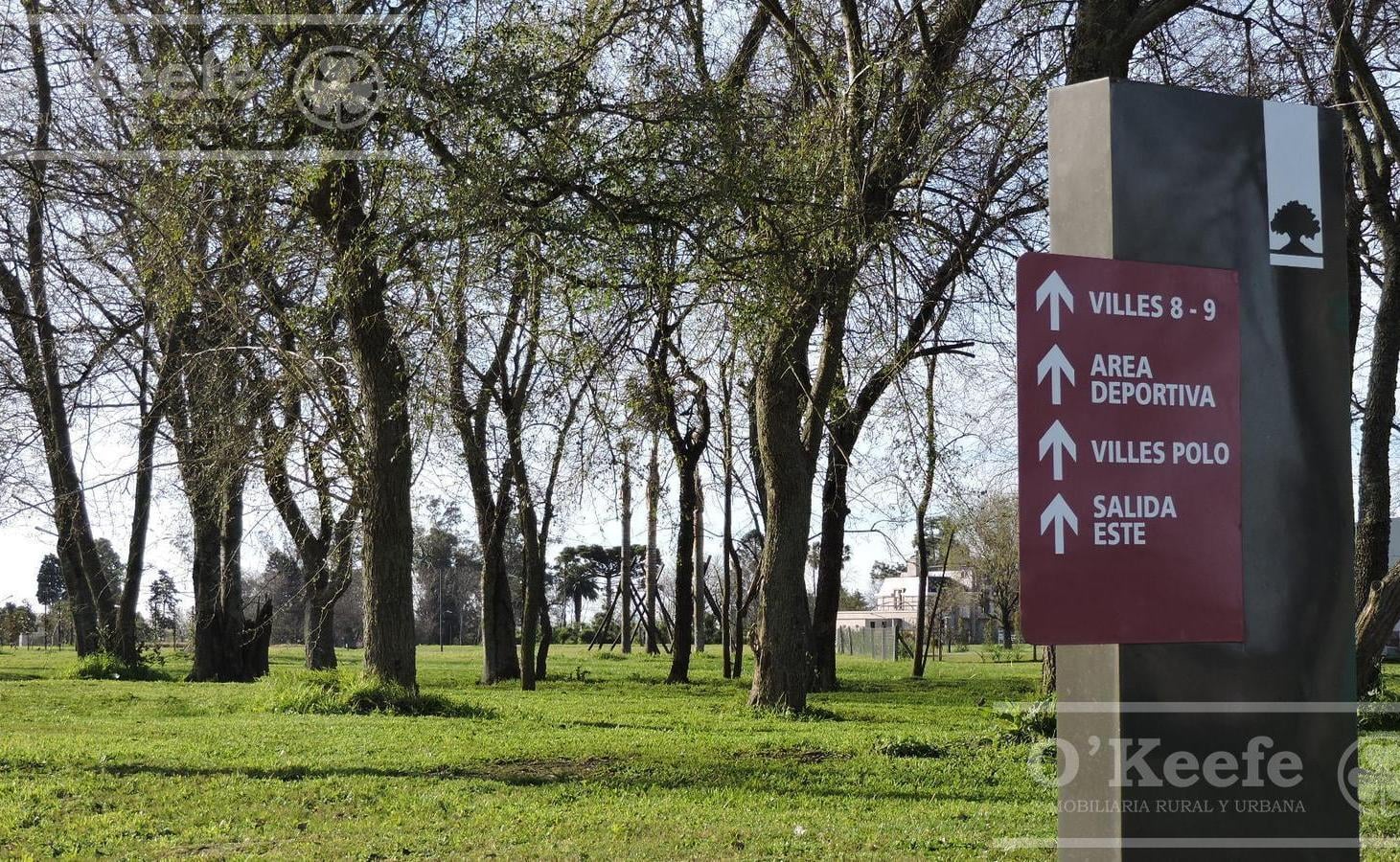 Foto de Terreno en oportunidad de 705m2 en Greenville Polo y Resort, imagen 2