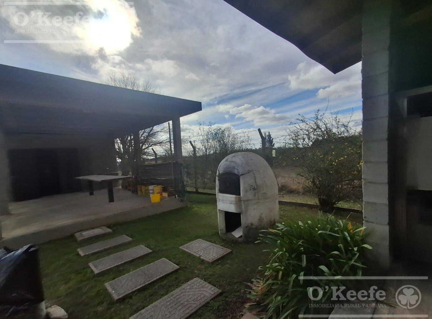 Foto de Quinta en venta con pileta Brandsen de 6.600 m2, imagen 4