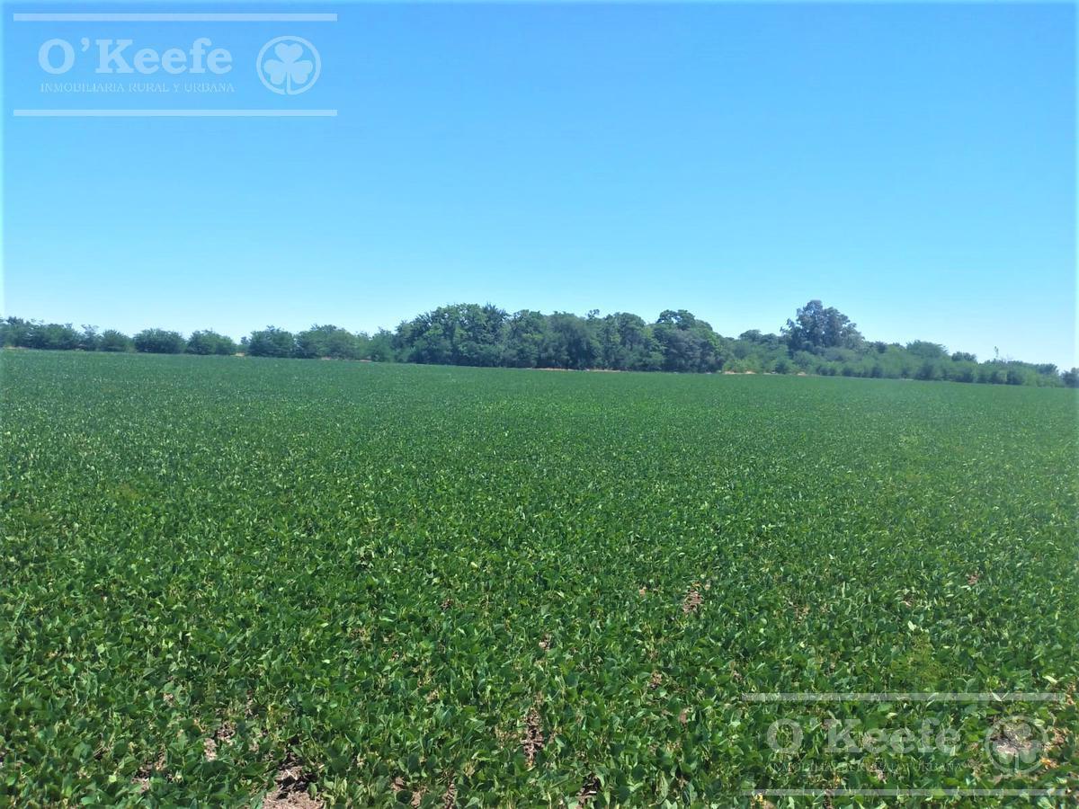 Foto de Campo en venta mixto en Chivilcoy de 106 has, imagen 2