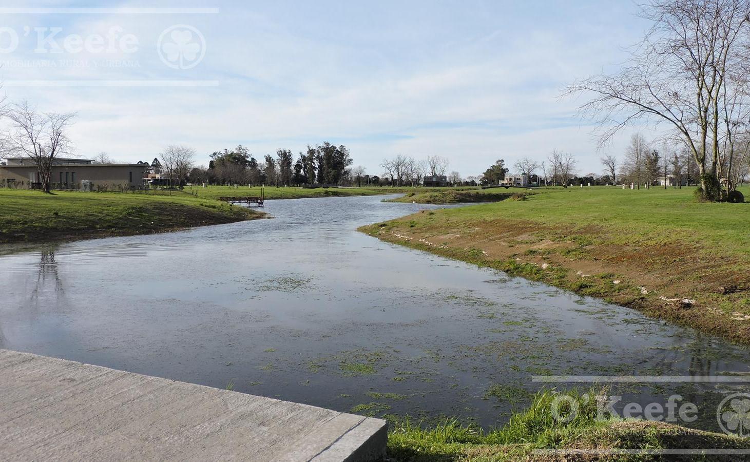 Foto de Lote en venta en una de las Villas Centrales en Greenville Polo, imagen 3