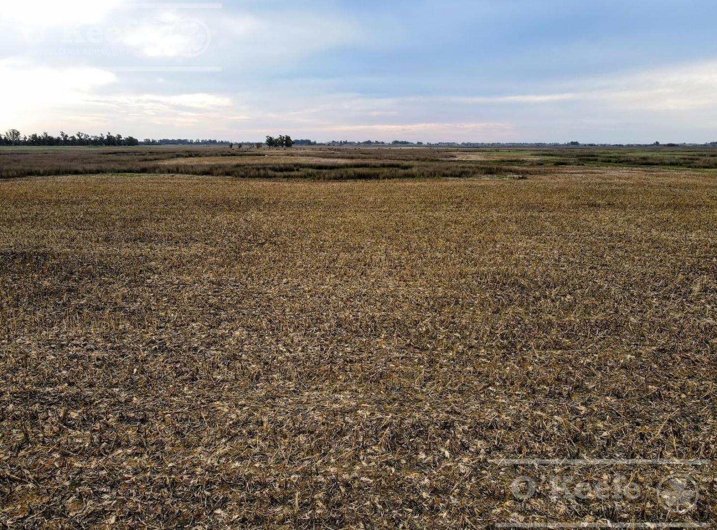 Foto de Campo en venta de 381 has en 9 de Julio, imagen 4