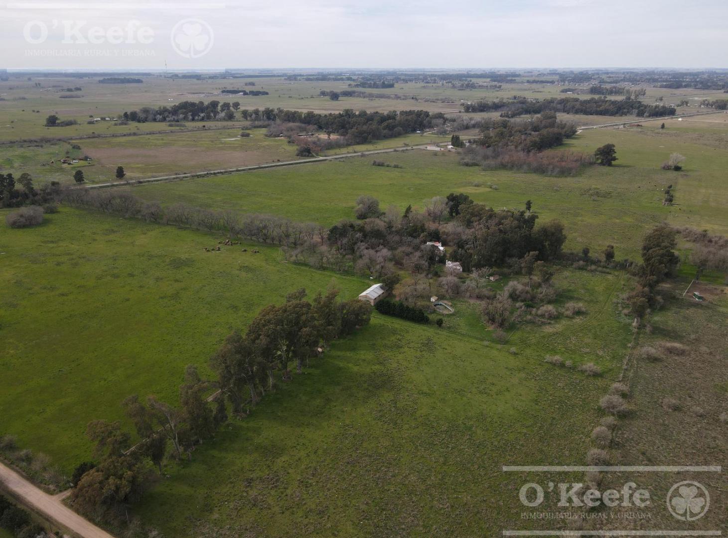 Foto de Chacra en venta en Brandsen 42 has - Sobre Ruta 210, imagen 1