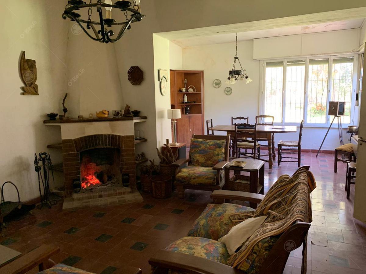 Foto de Chacra en venta en Brandsen 42 has - Sobre Ruta 210, imagen 3