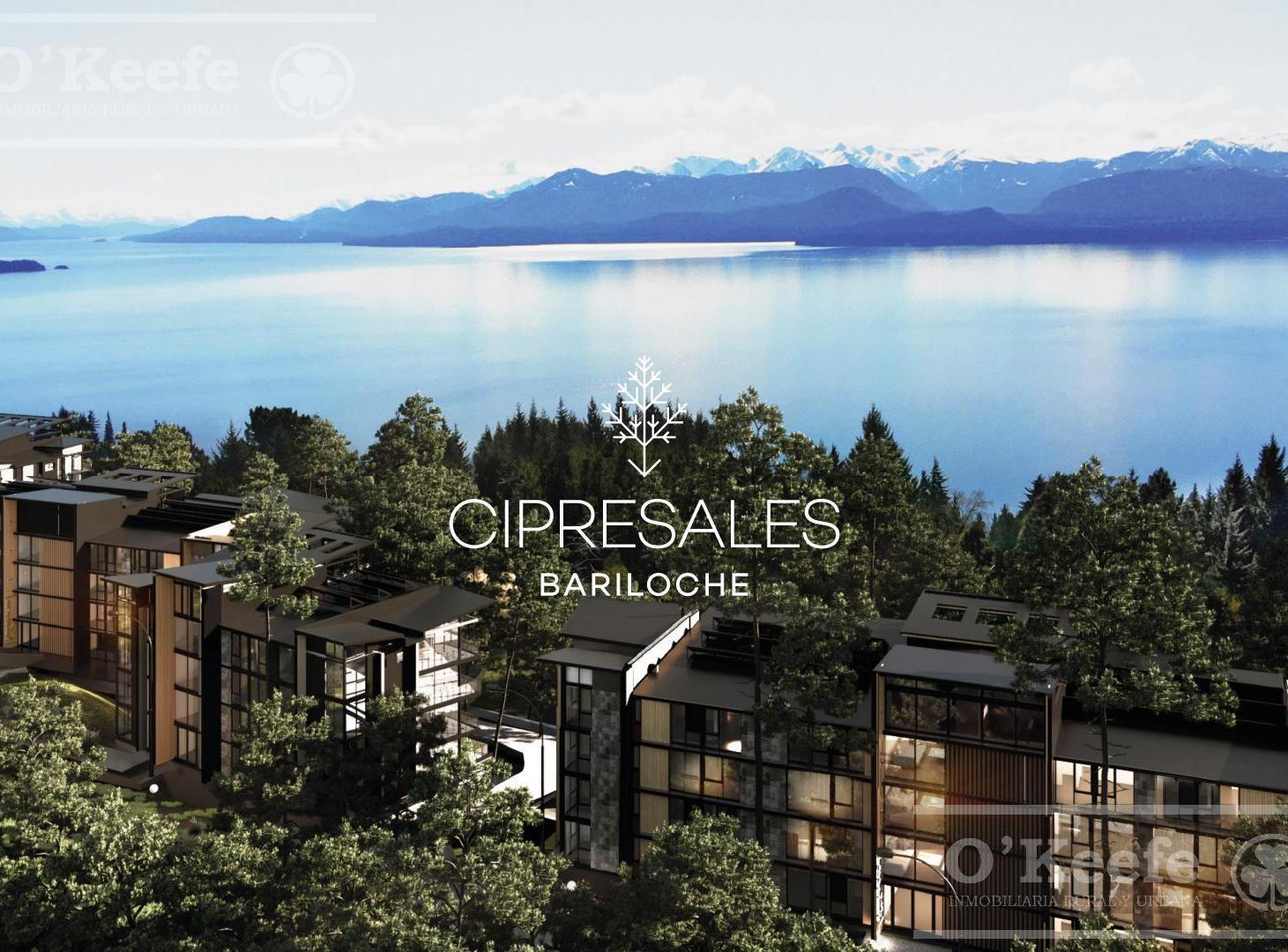 Foto de Departamento en venta 2 ambientes en Cipresales San Carlos De Bariloche, imagen 2