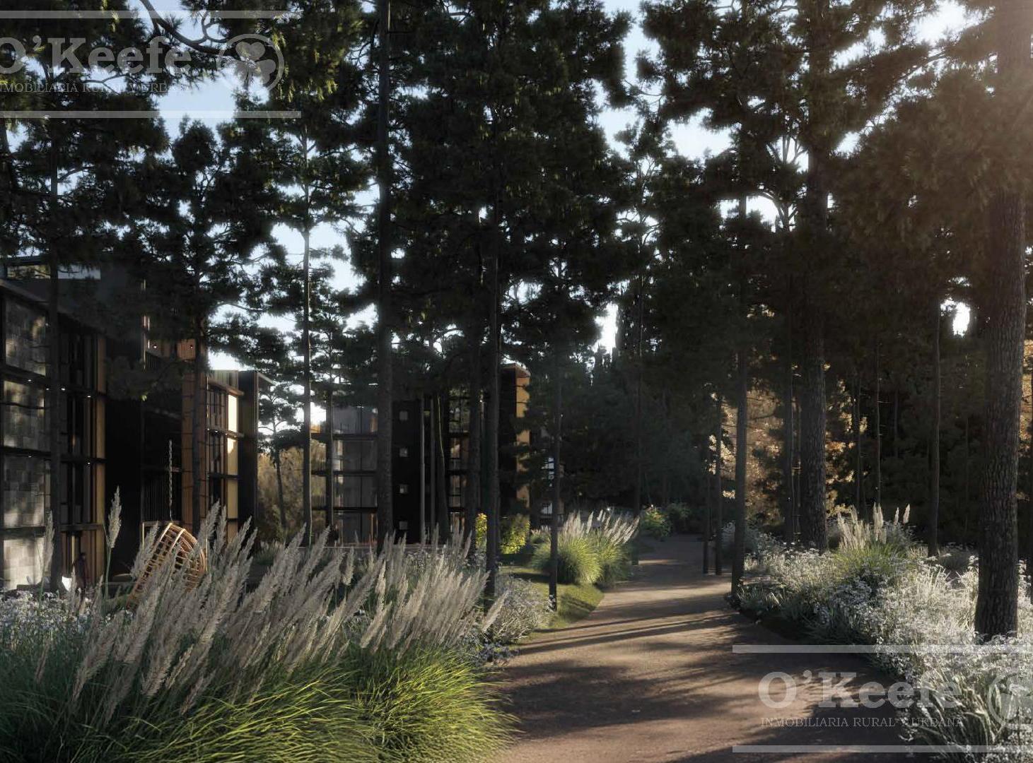 Foto de Departamento en venta 2 ambientes en Cipresales San Carlos De Bariloche, imagen 3