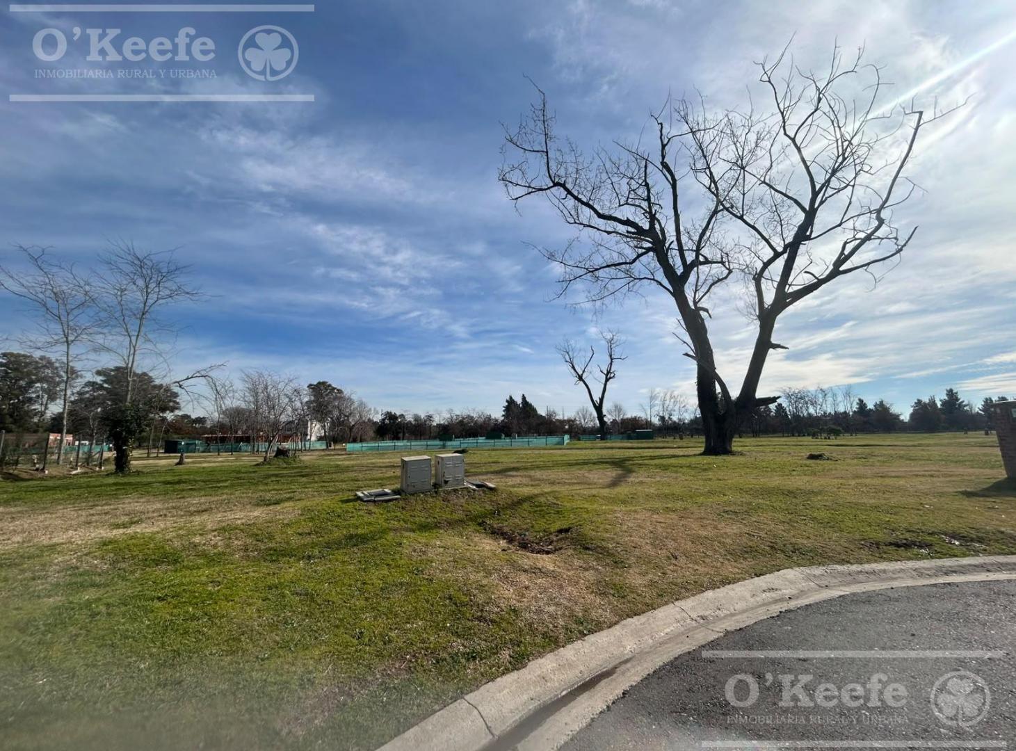 Foto de Excelente Lote en San Juan Chico !! GRAN OPORTUNIDAD DE INVERSIÓN EN, imagen 1