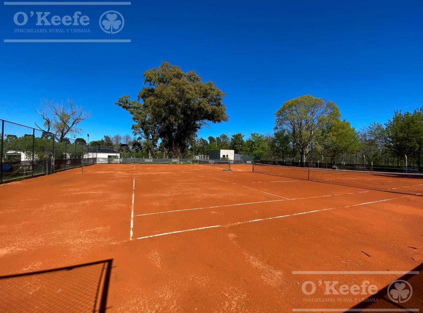 Foto de Excelente Lote en San Juan Chico !! GRAN OPORTUNIDAD DE INVERSIÓN EN, imagen 4