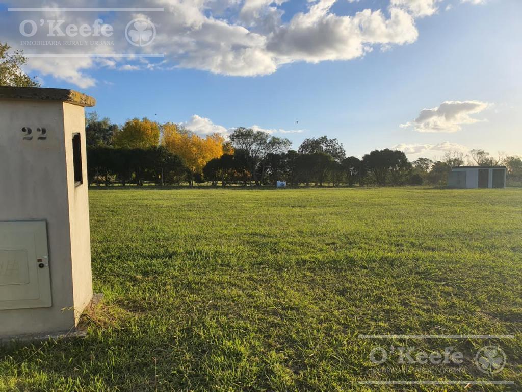 Foto de PER - Lote en venta con proyecto aprobado en Greenville Polo, imagen 4