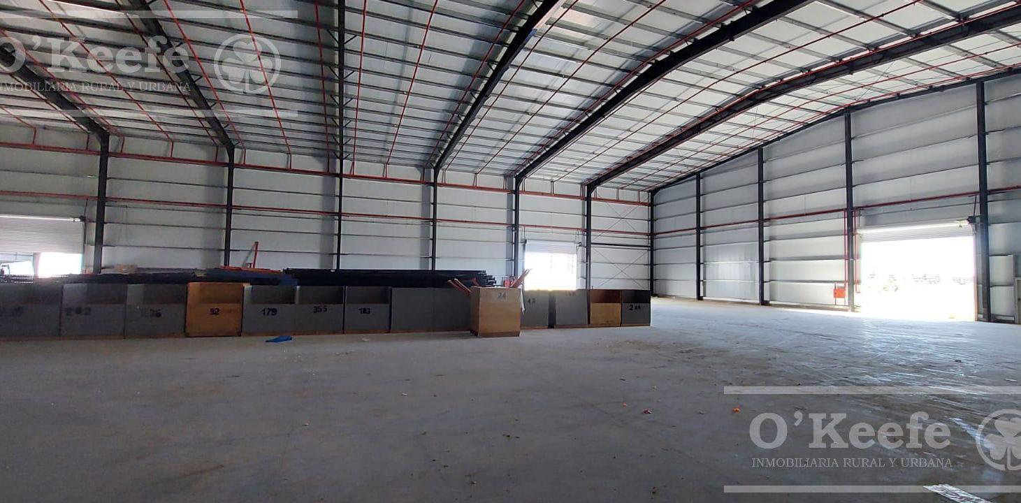 Foto de GALPON EN ALQUILER A ESTRENAR 2320 M2 - POLO MADERERO HUDSON, imagen 1