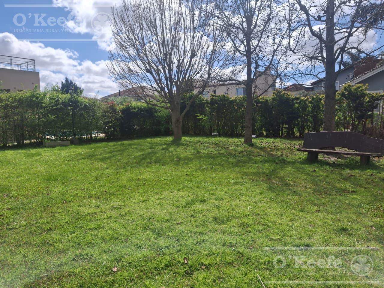 Foto de Terreno en venta en Los Ombúes de Hudson, con escritura., imagen 1