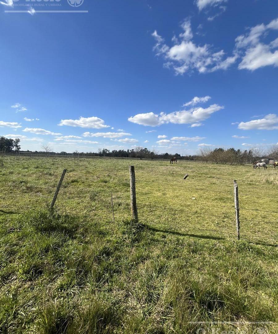 Foto de Chacra en venta de 6 has en Cañuelas, imagen 4