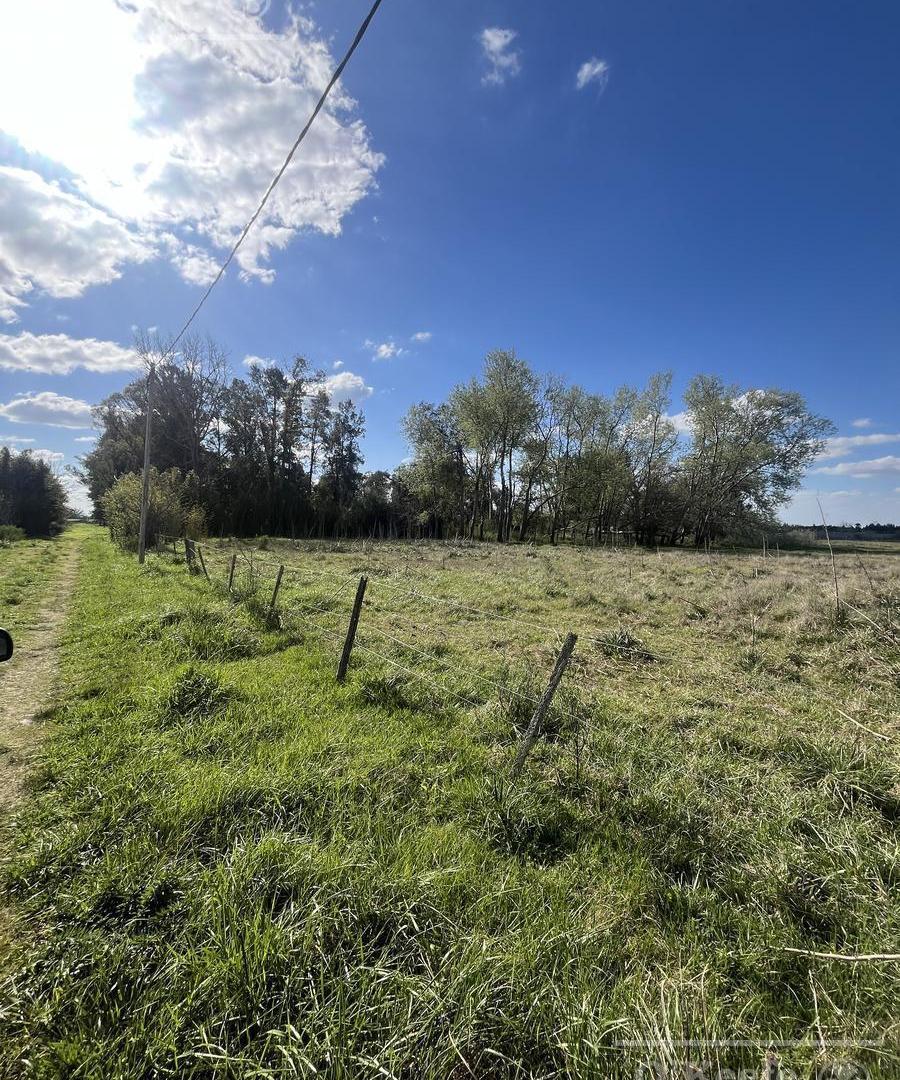 Foto de Chacra en venta de 6 has en Cañuelas, imagen 4