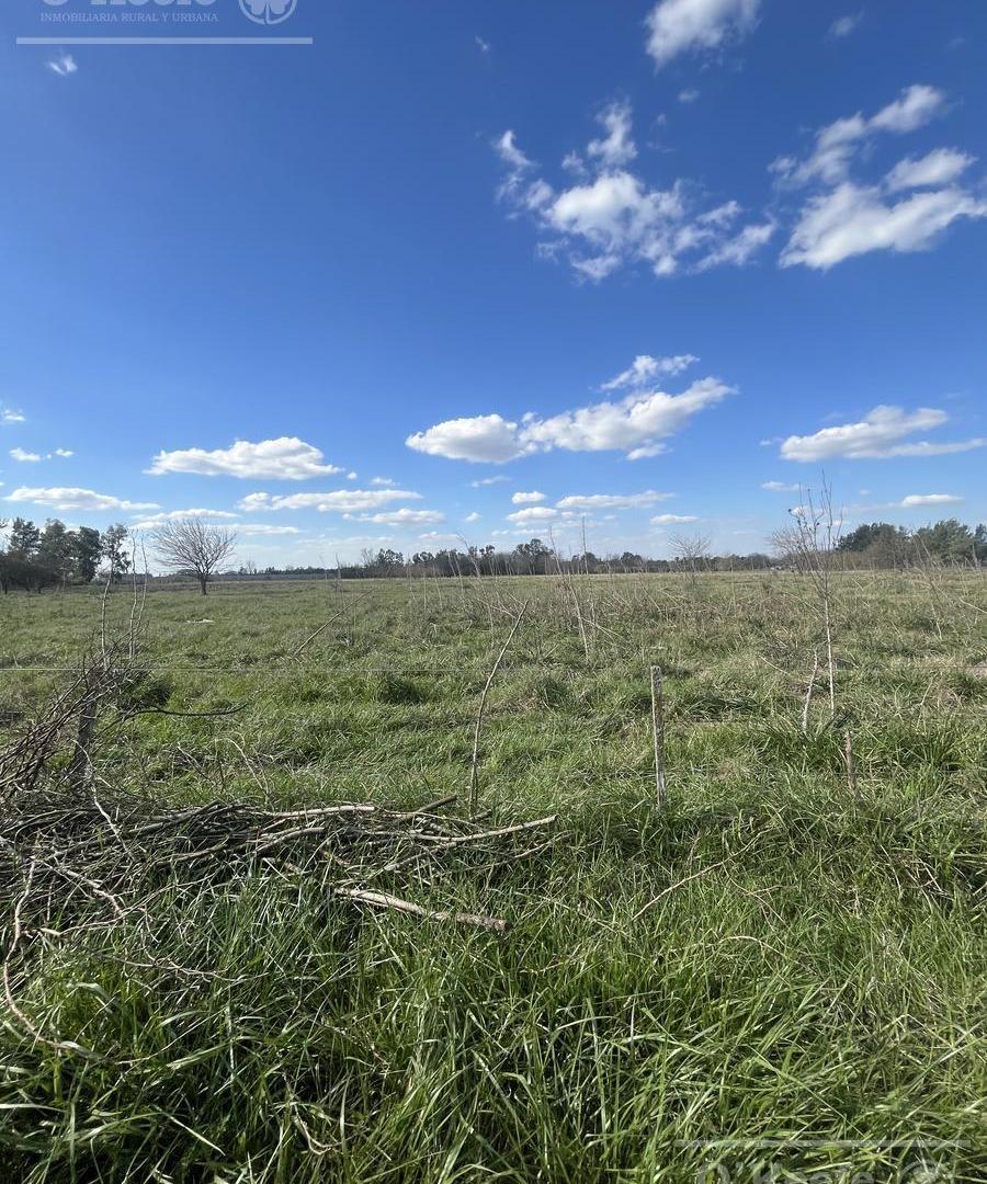 Foto de Chacra en venta de 6 has en Cañuelas, imagen 2