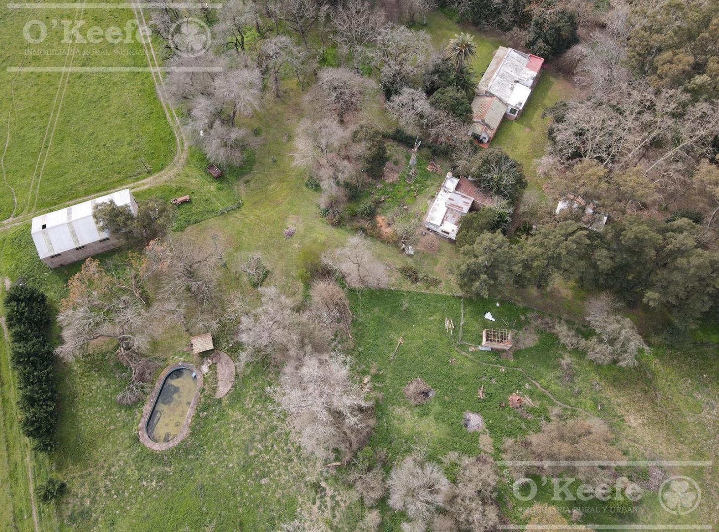 Foto de Chacra en venta en Brandsen 42 has - 70% Agricola - Sobre Ruta 210, imagen 2