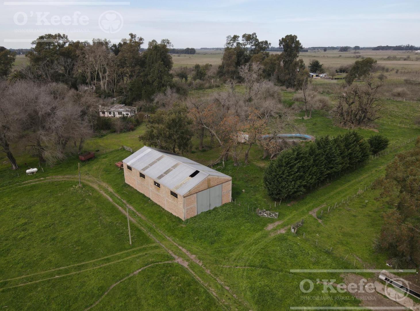Foto de Chacra en venta en Brandsen 42 has - 70% Agricola - Sobre Ruta 210, imagen 5