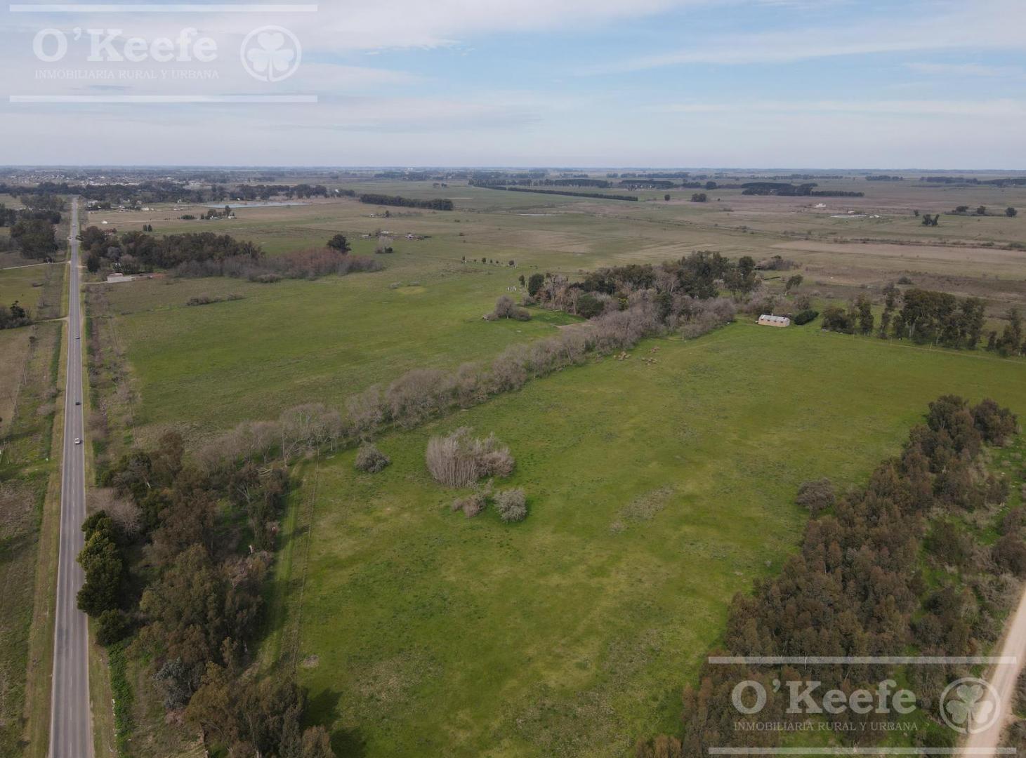 Foto de Chacra en venta en Brandsen 42 has - 70% Agricola - Sobre Ruta 210, imagen 4