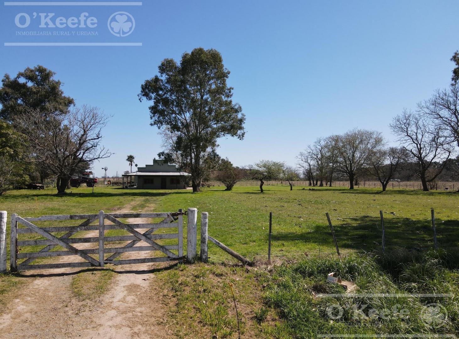 Foto de CHACRA de 15 has en venta - Disfrute y producción a 1000 mts de Ruta, imagen 2