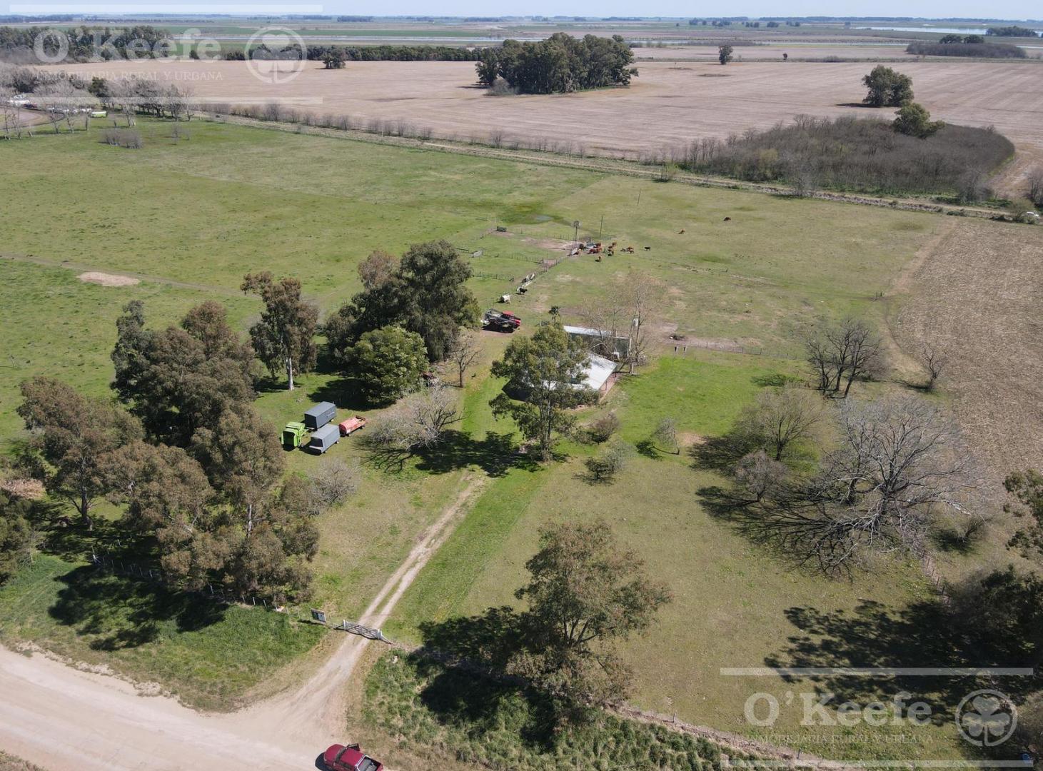 Foto de CHACRA de 15 has en venta - Disfrute y producción a 1000 mts de Ruta, imagen 4