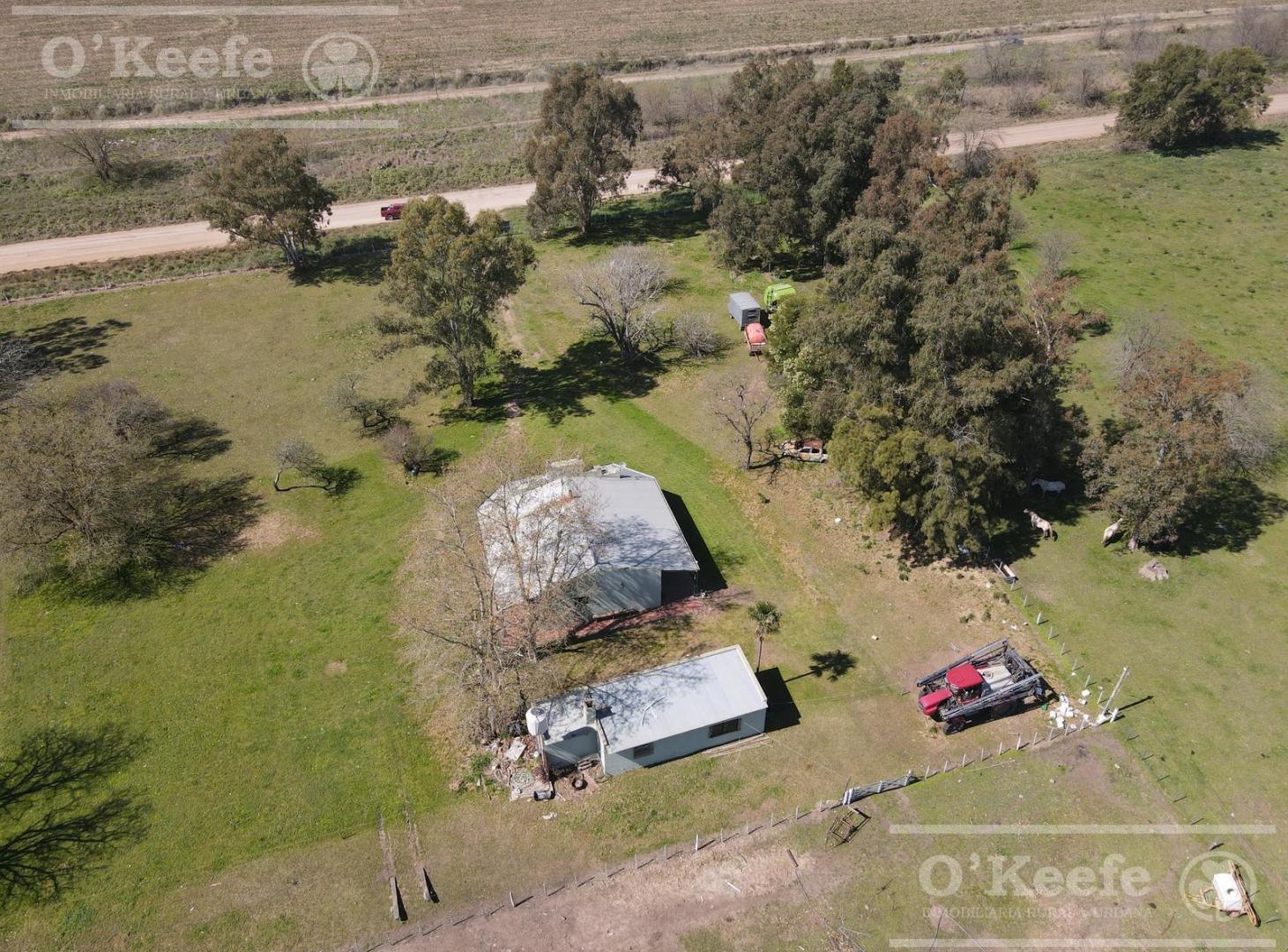 Foto de CHACRA de 15 has en venta - Disfrute y producción a 1000 mts de Ruta, imagen 3