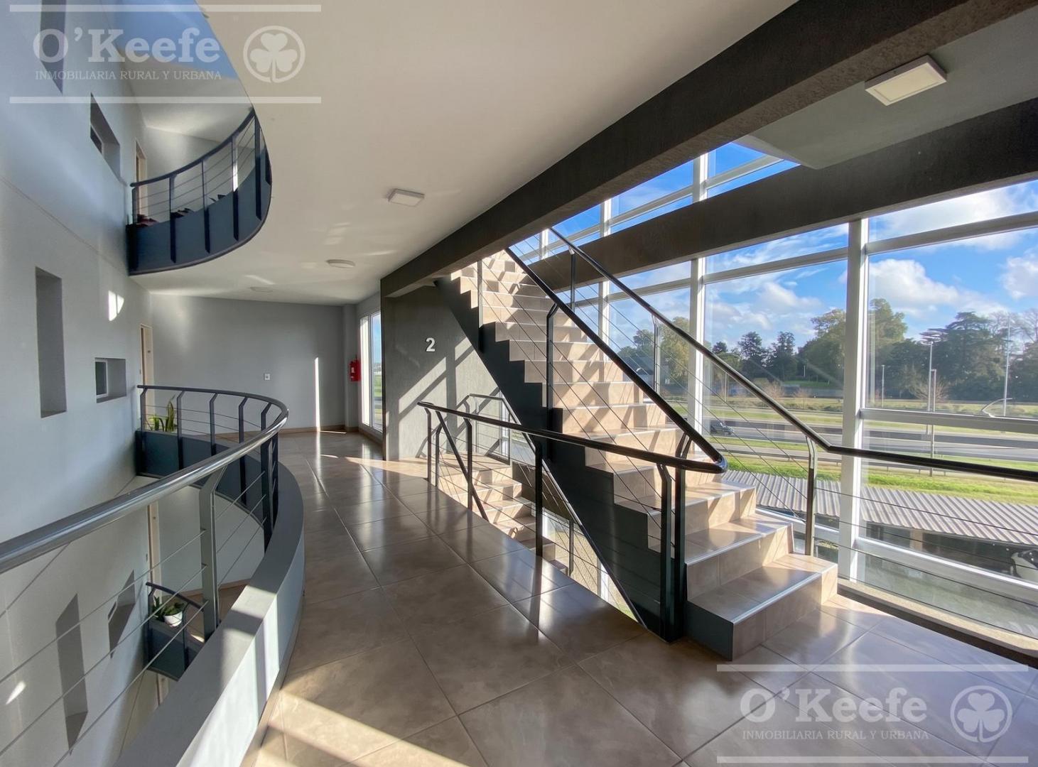 Foto de Excelente departamento de 3 ambientes con balcón aterrazado y parrilla, imagen 2