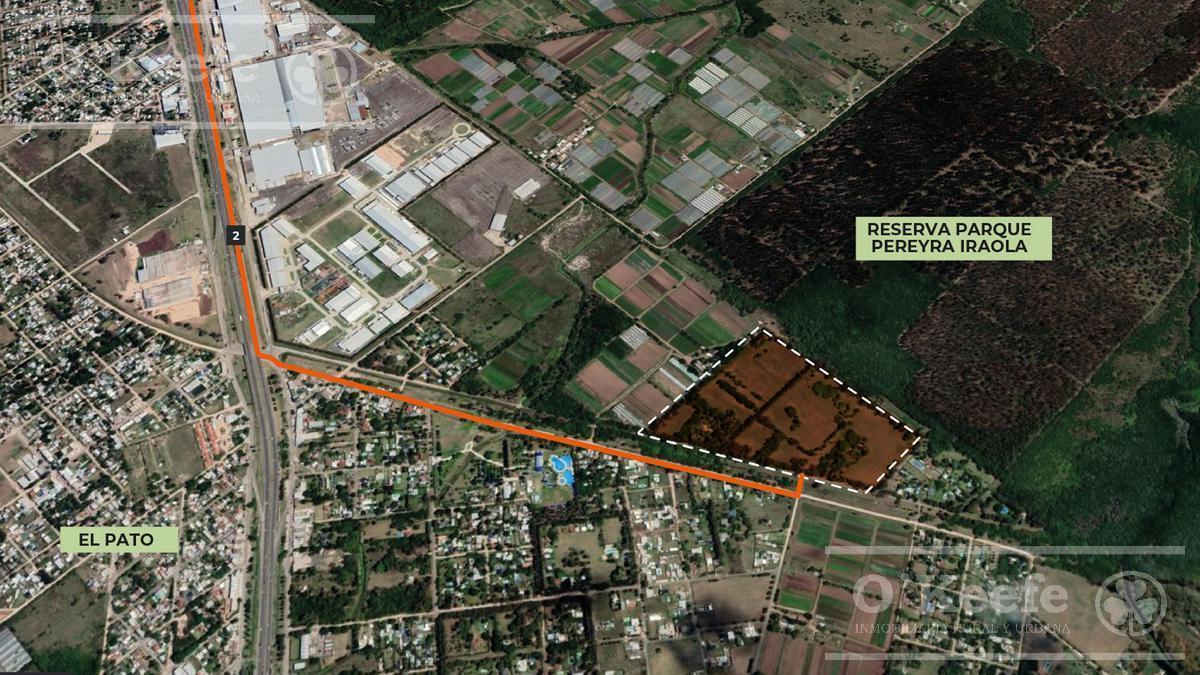 Foto de Lote en Venta, El Pato, Barrio residencial Los Cedros, imagen 2