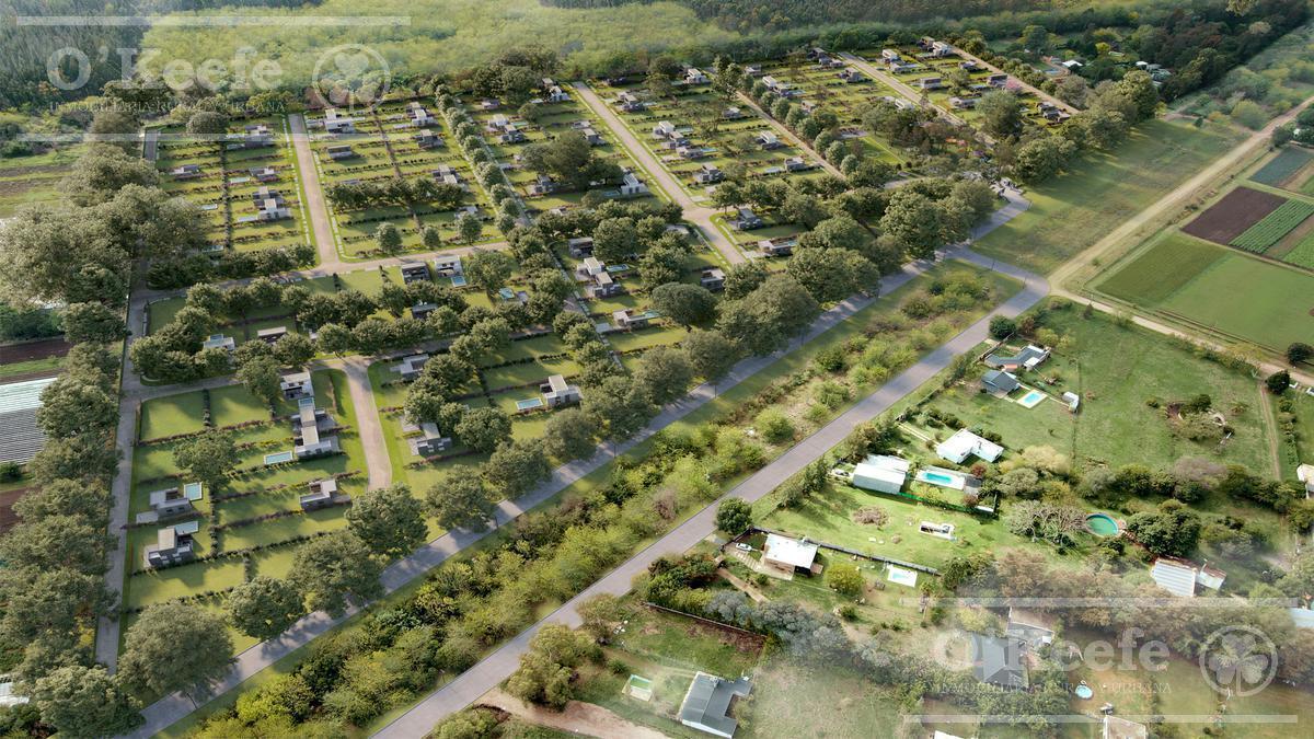 Foto de Lote en Venta, El Pato, Barrio residencial Los Cedros, imagen 1