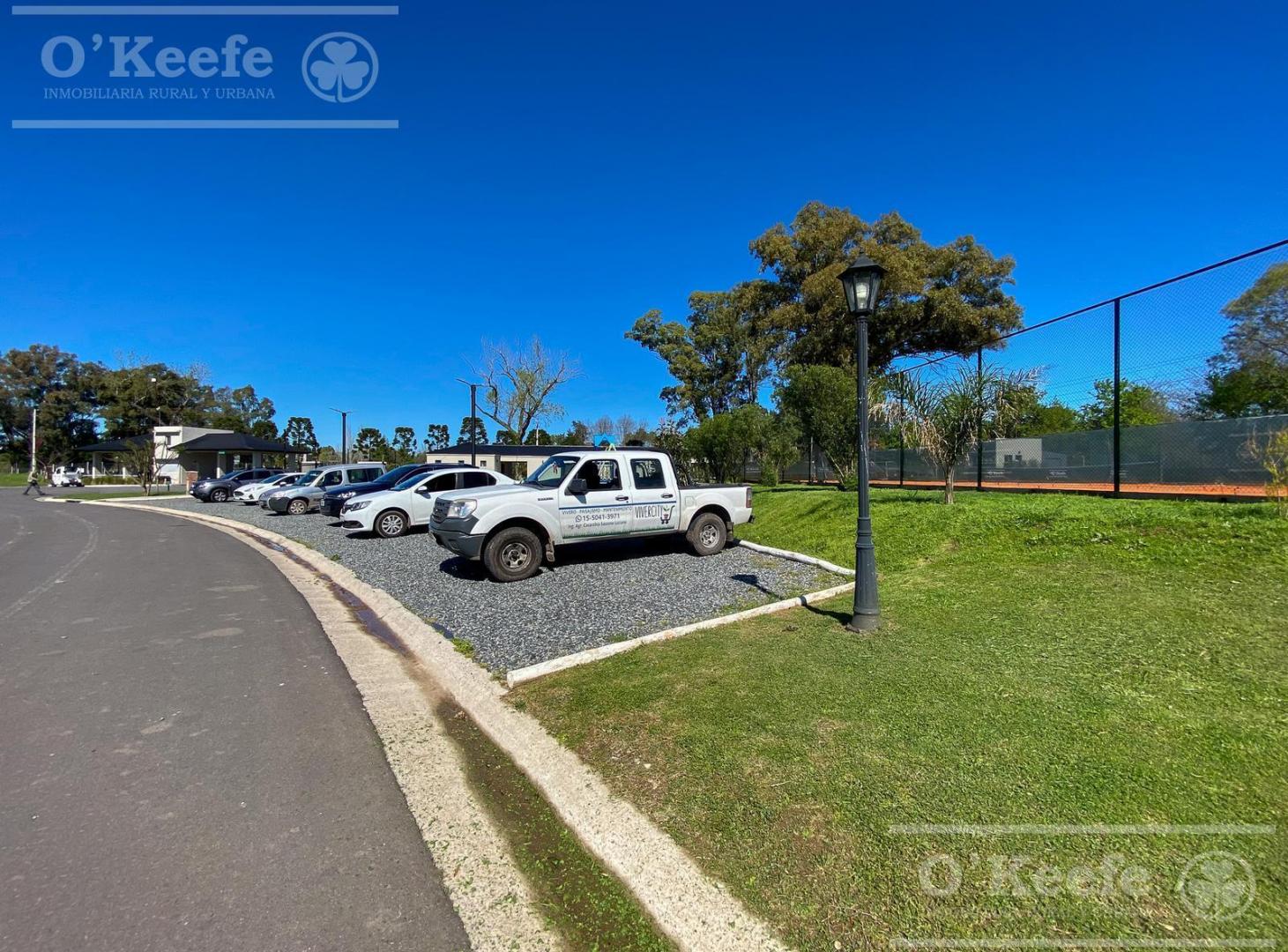 Foto de Excelente Lote en Oportunidad a Laguna en San Juan Chico - ENTREGA, imagen 4