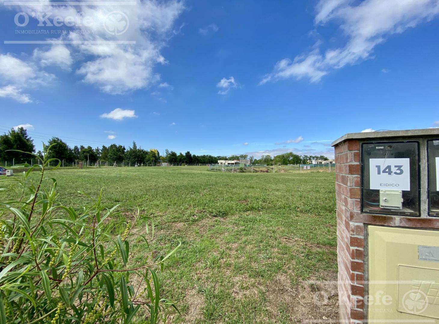 Foto de Excelente Lote en Oportunidad a Laguna en San Juan Chico - ENTREGA, imagen 2