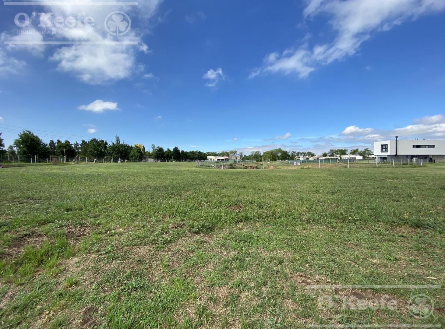 Foto de Excelente Lote en Oportunidad a Laguna en San Juan Chico - ENTREGA, imagen 1