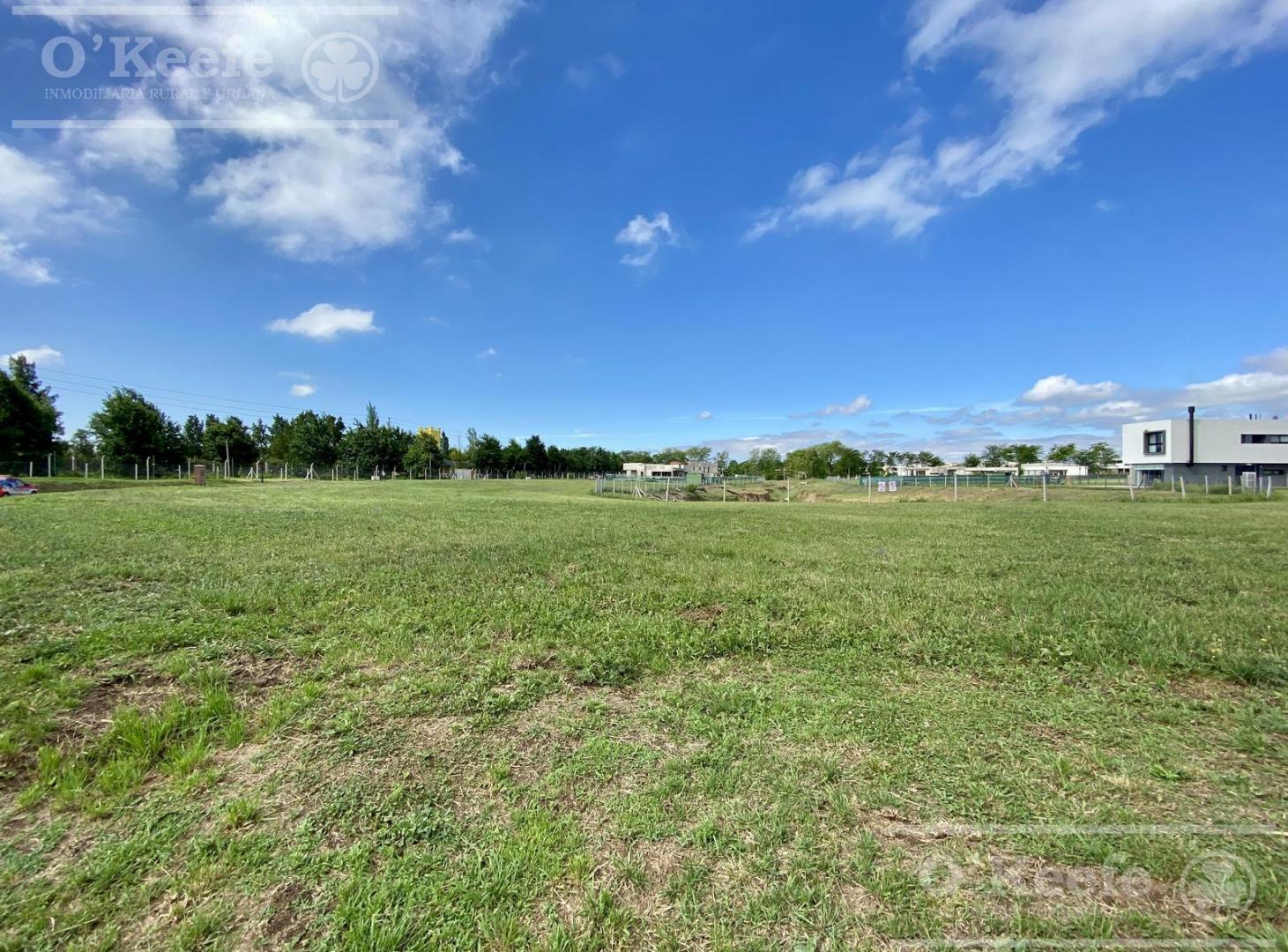 Foto de Excelente Lote en Oportunidad a Laguna en San Juan Chico - ENTREGA, imagen 3
